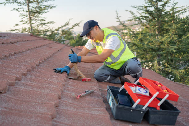 Residential Roof Replacement in Rineyville, KY
