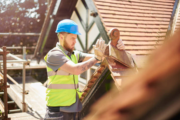 Best Residential Roofing Contractor  in Rineyville, KY